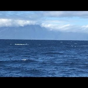 Meet your Posher, Andre